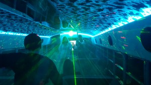 Discobus Partybus mieten Siegen Bus verleih Feiern Diskothek Siegerland